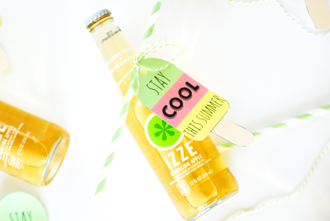 Summer Popsicle Tags and Gift Idea