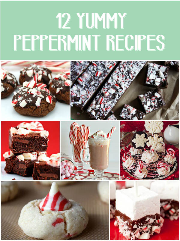 12 Yummy Peppermint Recipes