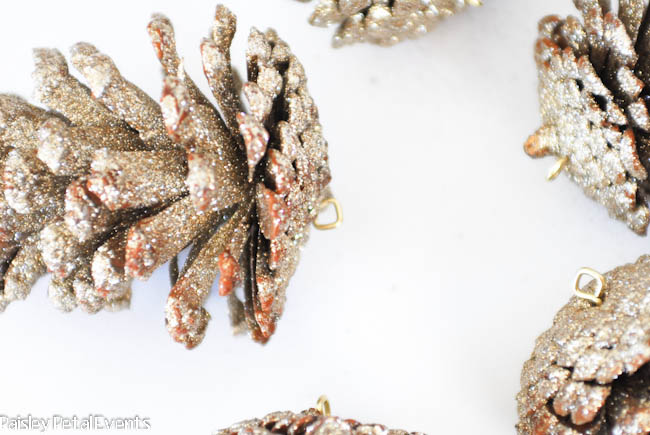 Closeup of screw eyes attached to pinecone