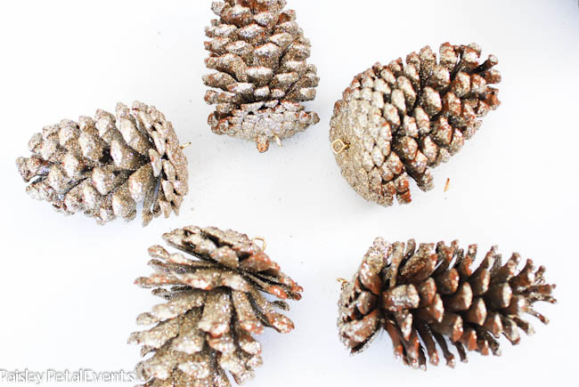 Screw eyes attached to pinecones