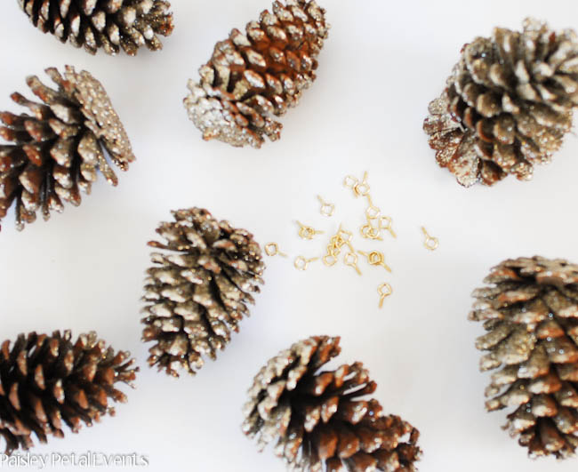 Attach screw eyes to pinecones