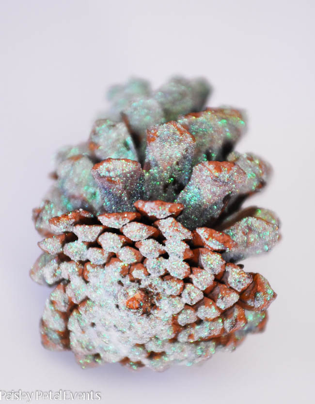 white iridescent glittered pinecone