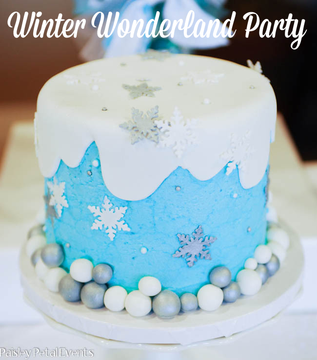 Winter Wonderland party cake