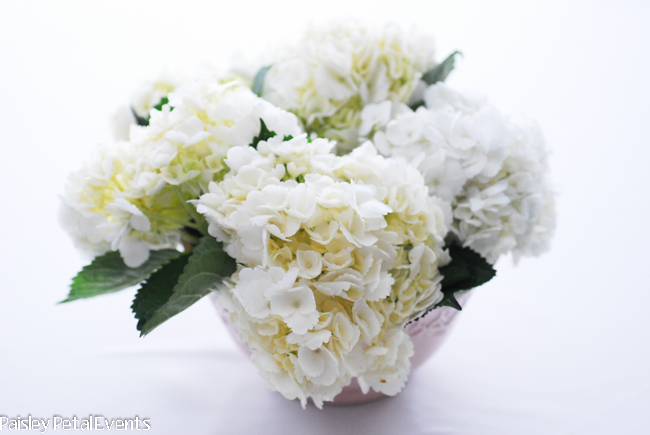 White hydrangeas