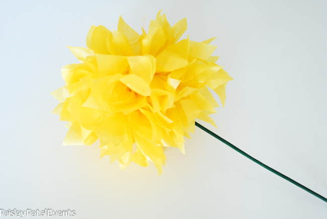 Tissue paper flower with a stem