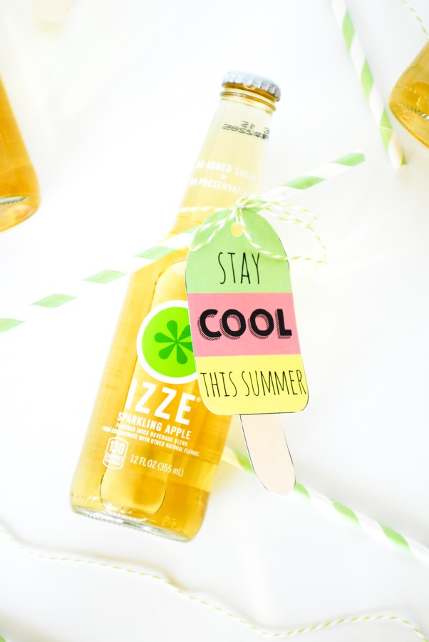 Free Printable Summer Popsicle Gift Tags